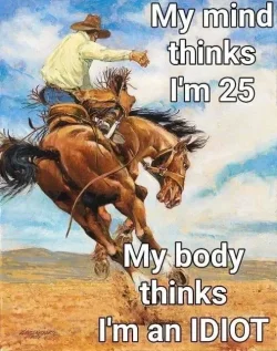 544253-3c0fd4dd536949df097a7092e0fe5dd8.webp