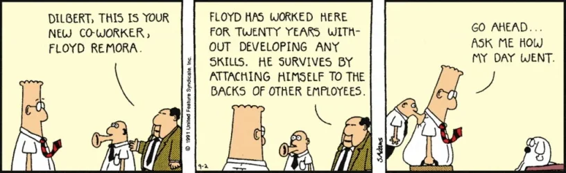 dilbert-comic-strips-dose-163-1024x314.webp