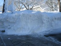 IMG_1777.jpg