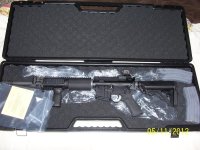 Taurus PT-22 & RRA AR-15 005.jpg
