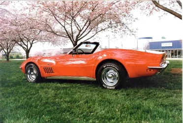 Vette Right (2).webp Vette Right (2).webp