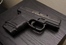 pps40.jpg