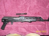 AK's & LR-308 003.jpg