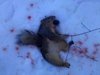 2010-01-16 13.42.50.jpg