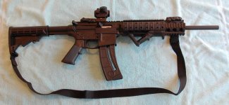 M&P 15-22 001.jpg