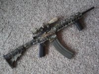 s&w.jpg