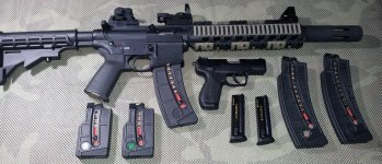SW MP 15-22  RUGER SR22.jpg