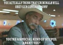 Gun stupid.jpg