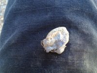 jacket3.JPG