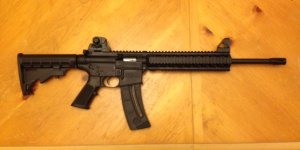 M&P 15-22 Before.JPG