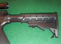 IMGA0541s.jpg