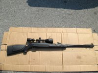 Gamo CFX.jpg