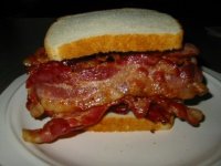 plainolbaconnwhitebread.jpg
