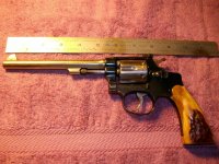 pinto 002.jpg