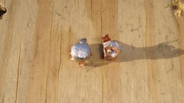 DSC09358.jpg