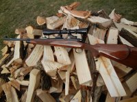 Remington 700 308 cal 001 (Medium).jpg