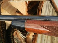 Remington 700 308 cal 007 (Medium).jpg