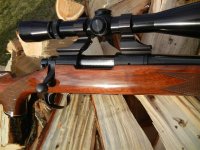 Remington 700 308 cal 011 (Medium).jpg