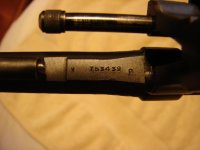 long guns 118.JPG