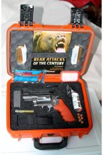 BearKitPic2.jpg