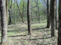 IMG_7479.jpg