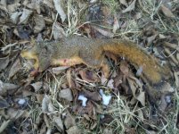 2010-02-01 14.00.14.jpg