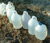 405jugs2.jpg