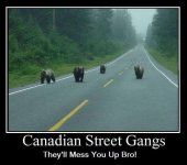 canadian street gangs.jpg