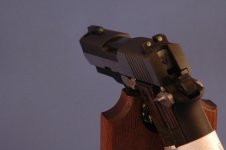 Sig 938 3.jpg