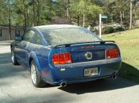 02pollen0410.jpg