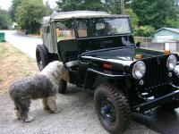 can I go too (Small).jpg