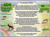 The Rainbow Bridge.jpg