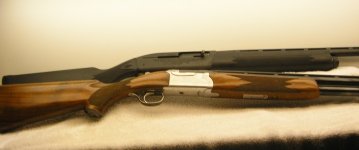 Dove gun RS.jpg