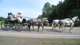 DSC_9176.JPG
