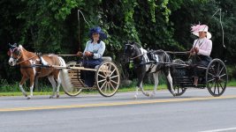 DSC_9052.JPG