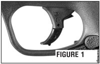 Shield_Figure_1_200.jpg