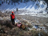 elk02.jpg