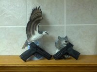 IMG_20130927_213910.jpg