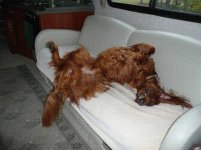 Hogan on the Bus.jpg