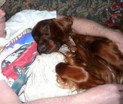 Nap time.JPG