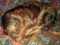 IMG_20111223_213400.jpg