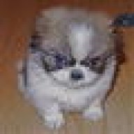 Monchito