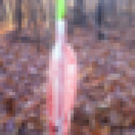 recurve