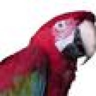 peterinwa