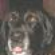 Scram