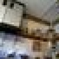 infish