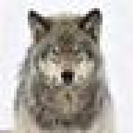 Graywolf586