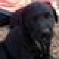 292