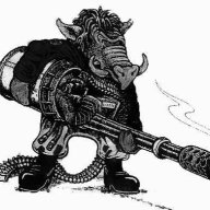 wart-hog