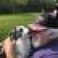 OldSmokey